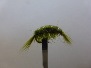 Size 12 Gammarus Weighted Olive